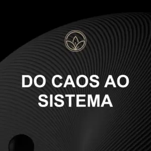 DO CAOS AO SISTEMA, A Mentalidade Japonesa nos Negócios e na Vida Pessoal