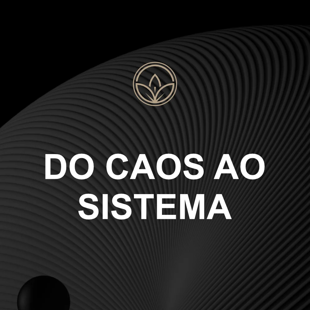 DO CAOS AO SISTEMA, A Mentalidade Japonesa nos Negócios e na Vida Pessoal
